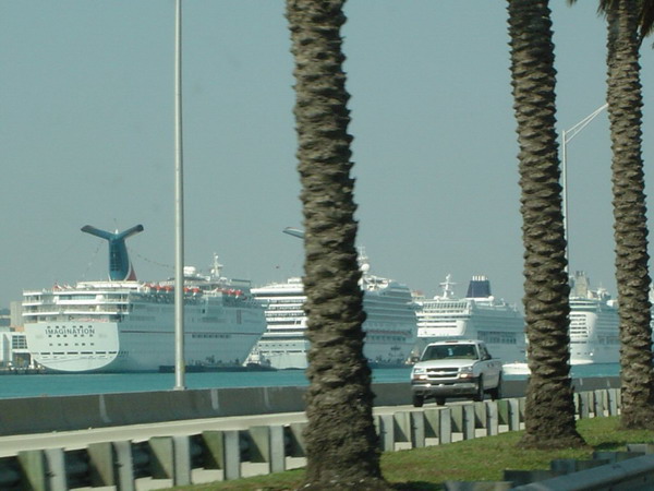 miami%20111.jpg