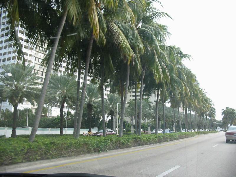 Miami_3.jpg