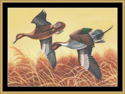 MM-05 Golden flight.jpg