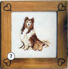 pup3.jpg