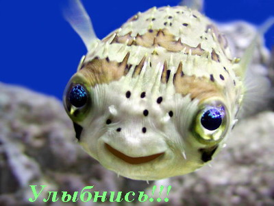 smile.jpg