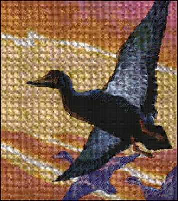 t_ducksflight_208.jpg