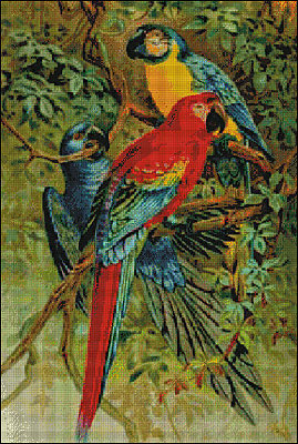 t_parrotbay_777.jpg