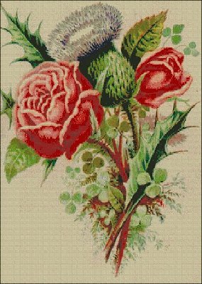 t_rosethistleshamrockuk_974.jpg