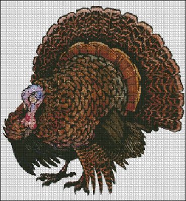 t_turkey_154.jpg
