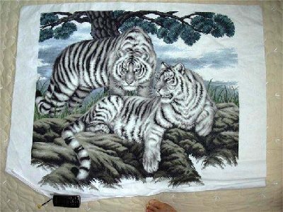 t_white_tiger_167.jpg