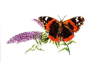 TG-436 Atalanta-14.jpg