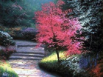 003_Afternoon Light Dogwood.jpg