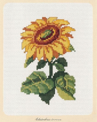 1091964784875.jpg.gif