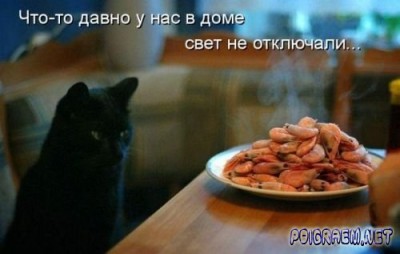 1245965189_s3img_28884756_3163_20.jpg