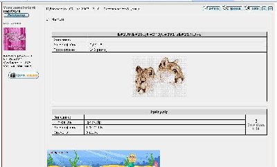 126.JPG