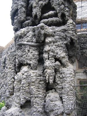 13.JPG