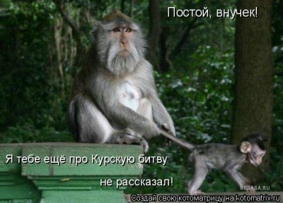 1D054556.jpg