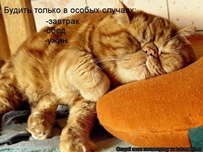 1D343882.jpg