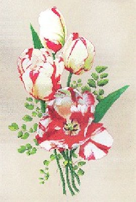 20055231618973121.jpg