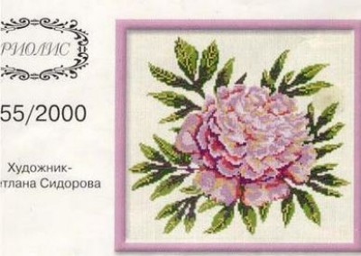 255.jpg