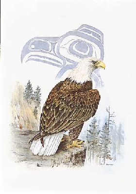 305 - Eagle.jpg