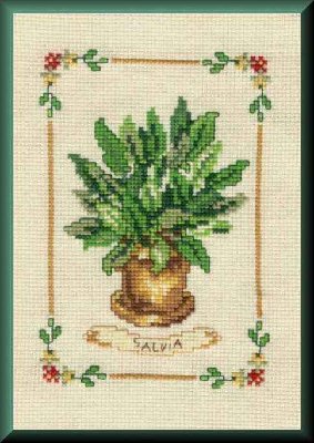 75[1].484_Salvia___Vervaco.jpg