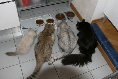 ����� IMG_4234.JPG