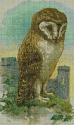 castleowl.jpg