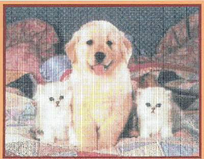 Cat-23 Country friends.JPG