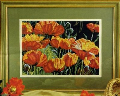 CHM 2006- Gorgeous Poppies.jpg