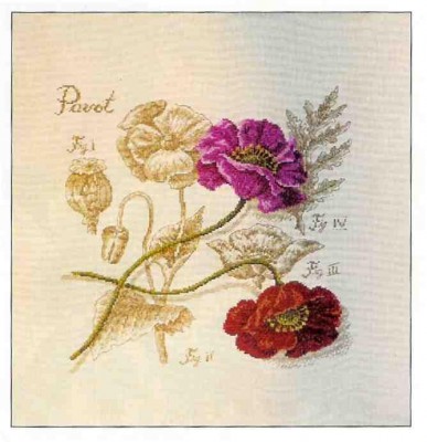DFeA Pavot.jpg