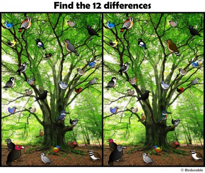 find_differences_1.jpg