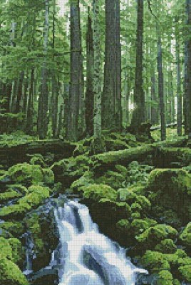forestwaterfall.jpg