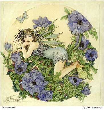 Haed blue anemone.JPG