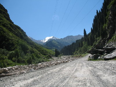 IMG_0001.jpg