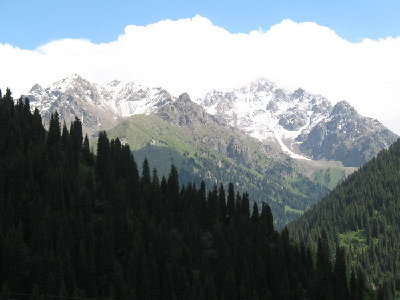 IMG_0055.jpg