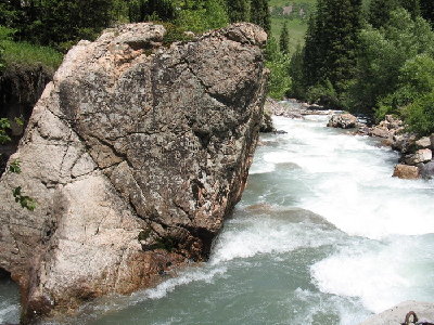 IMG_0072.jpg