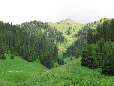 IMG_0095.jpg