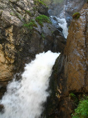 IMG_0098.jpg