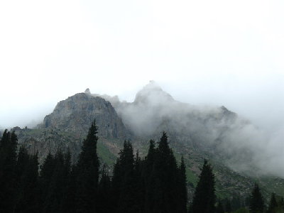 IMG_0145.jpg