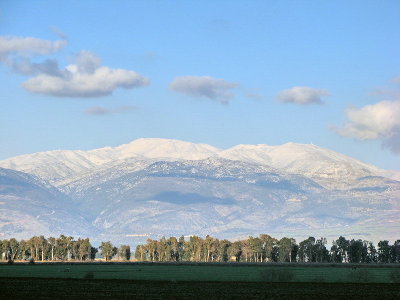 IMG_1955..jpg