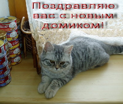 Kir 026.jpg