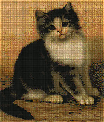 Kismet.jpg