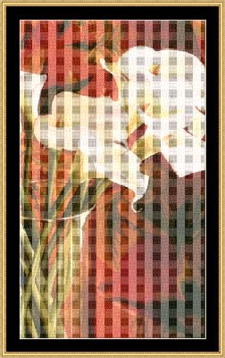 Lillies on Red.jpg