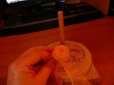 P1060731.JPG