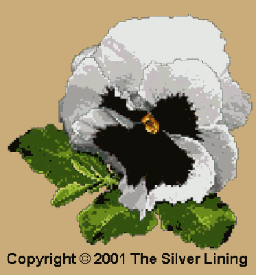 P10_106_1.gif