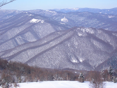 P2280105.jpg