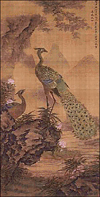 PeacockPair.jpg