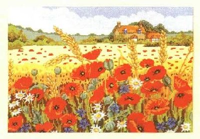 Poppies_field.jpg