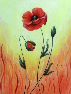 Poppy-2-Tatyana Bondareva oil.jpg