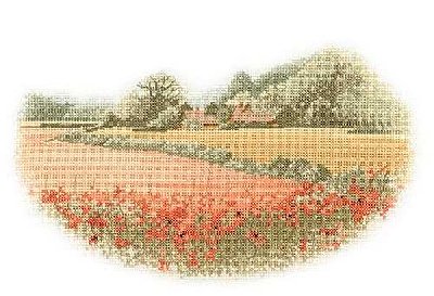 Poppy_Farm.jpg