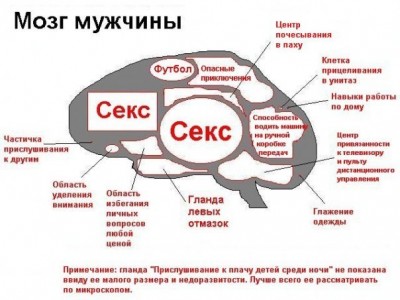 post-19-1244544657.jpg