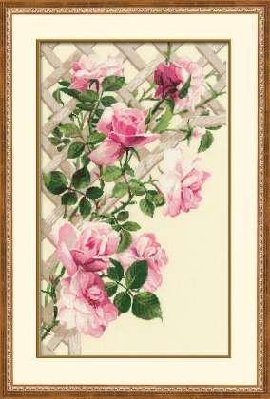 Roses.jpg