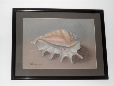 Shell 1 1000.jpg